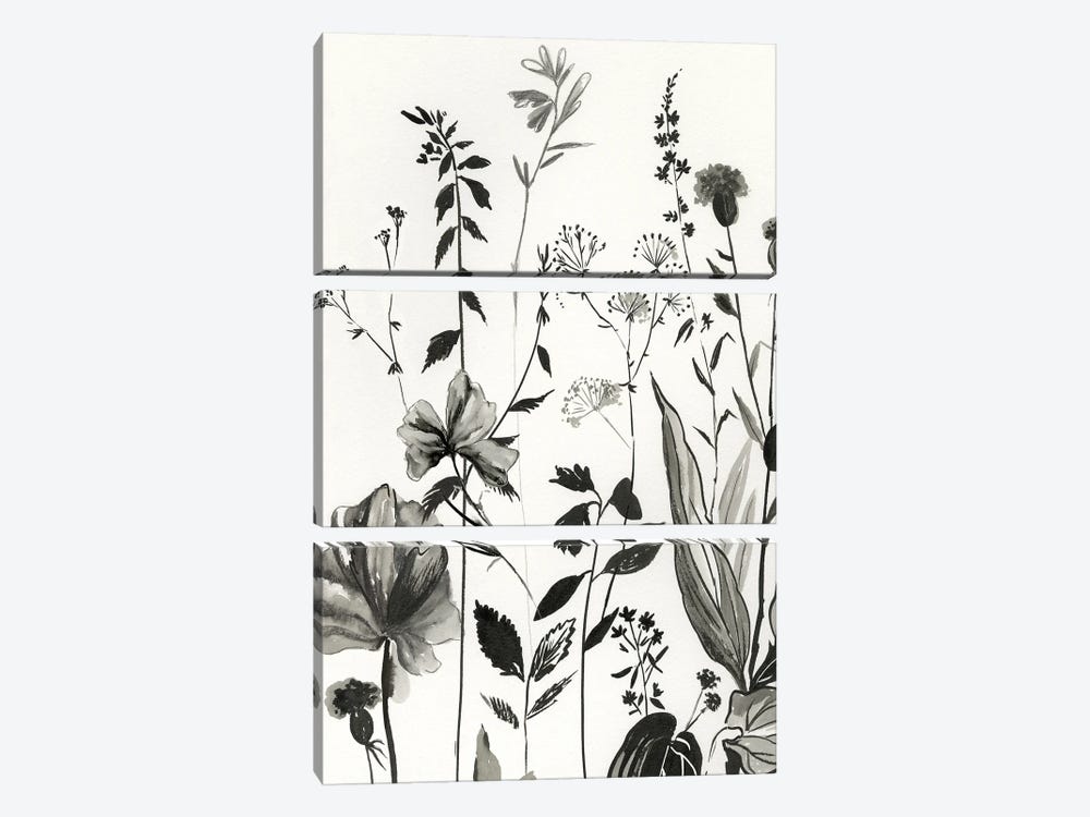 Black Botanicals I by Asia Jensen 3-piece Canvas Art Print