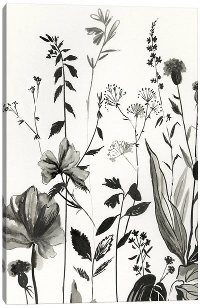 Black Botanicals I Canvas Art Print - Asia Jensen