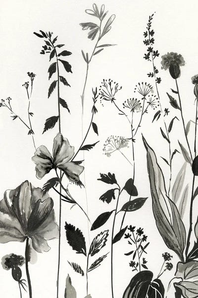 Black & White Florals: Black Botanicals I by Asia Jensen