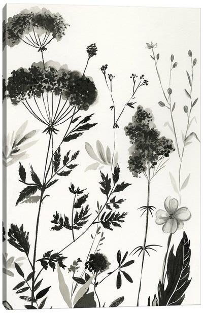 Black Botanicals II Canvas Art Print - Black & White Minimalist Décor