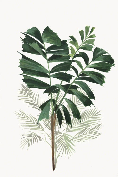 Tropic I by Asia Jensen wall art