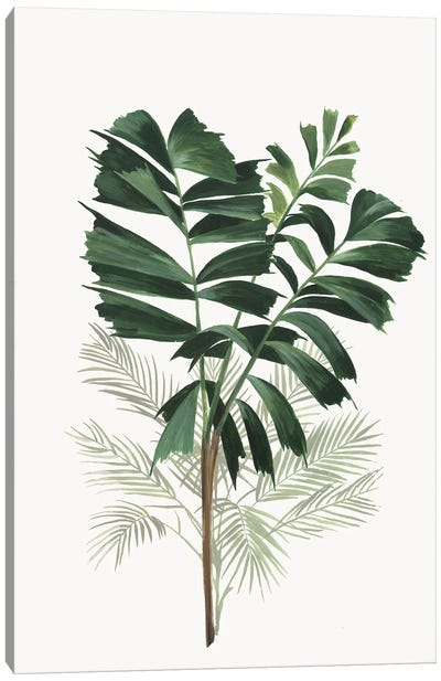 Tropic I Canvas Art Print - Asia Jensen