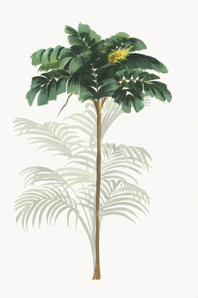 Tropical Leaves: Tropic II by Asia Jensen
