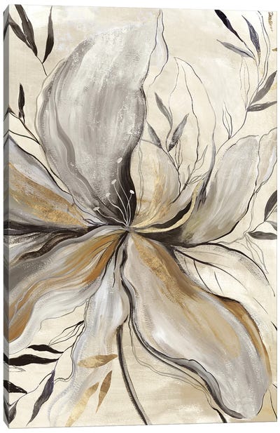Gold Charcoal Flower II Canvas Art Print - Asia Jensen
