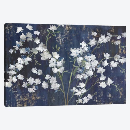 Navy Blossoms Canvas Print #ASJ630} by Asia Jensen Canvas Print