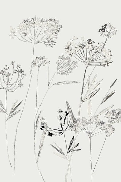 White Delicate II by Asia Jensen framed canvas print