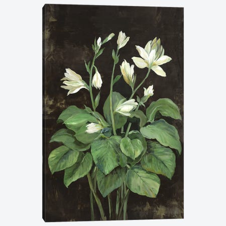 Blooming Hosta Canvas Print #ASJ644} by Asia Jensen Canvas Art Print