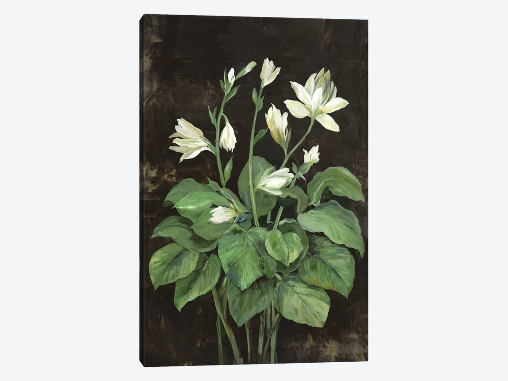 Blooming Hosta by Asia Jensen 1-piece Canvas Art Print