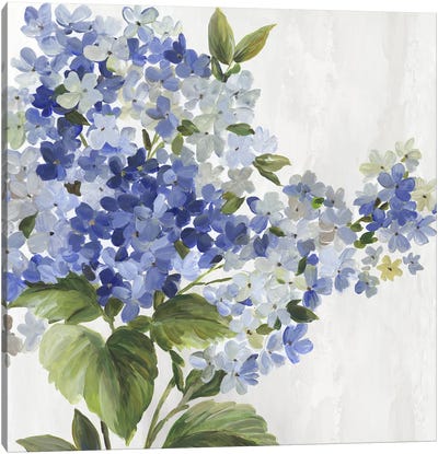Lilac Elegance II Canvas Art Print - Asia Jensen