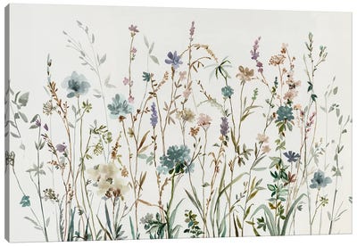 Little Wild Flowers Canvas Art Print - Asia Jensen
