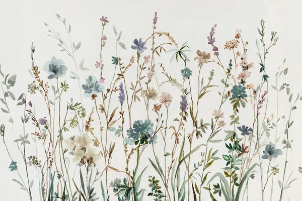Wildflowers: Little Wild Flowers by Asia Jensen