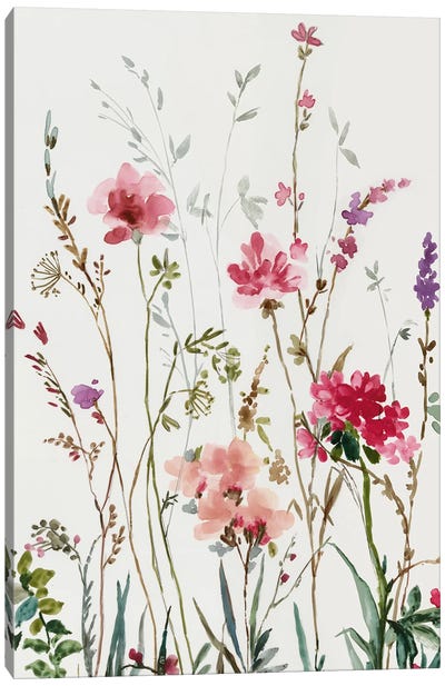 Pink Wild Flowers I Canvas Art Print - Asia Jensen