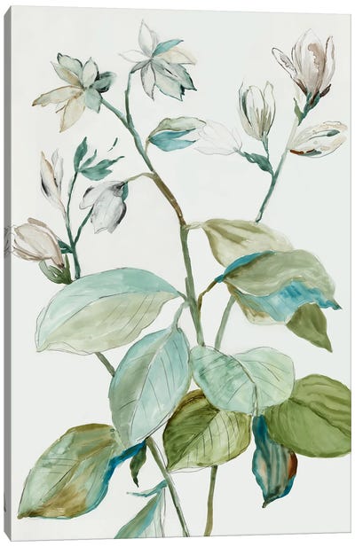 Verdant Leaves  I Canvas Art Print - Asia Jensen