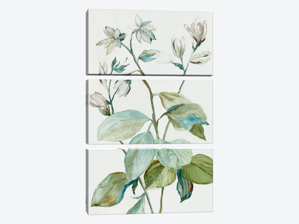 Verdant Leaves  I by Asia Jensen 3-piece Canvas Wall Art