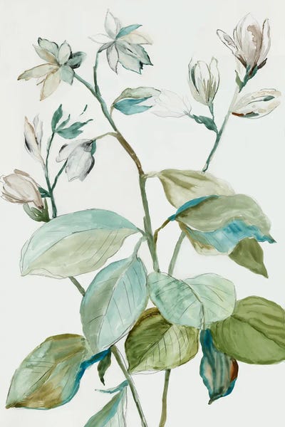 Fine Art Print: Verdant Leaves  I by Asia Jensen