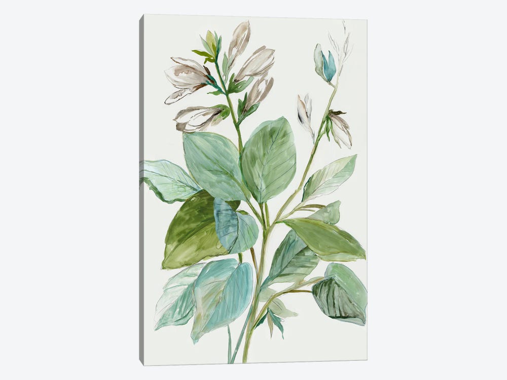 Verdant Leaves  II by Asia Jensen 1-piece Canvas Art Print