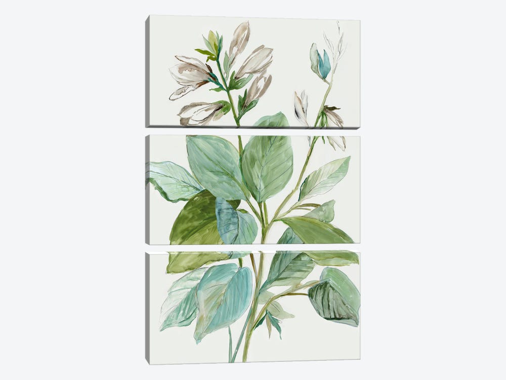 Verdant Leaves  II by Asia Jensen 3-piece Art Print
