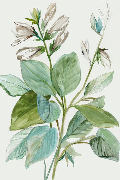 Fine Art Print: Verdant Leaves  II by Asia Jensen