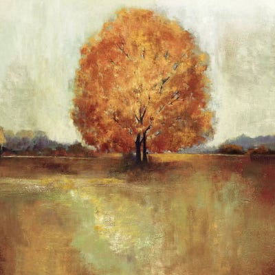 Field Of Dreams by Asia Jensen framed wall art