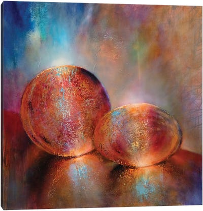 Two Marbles Canvas Art Print - Annette Schmucker