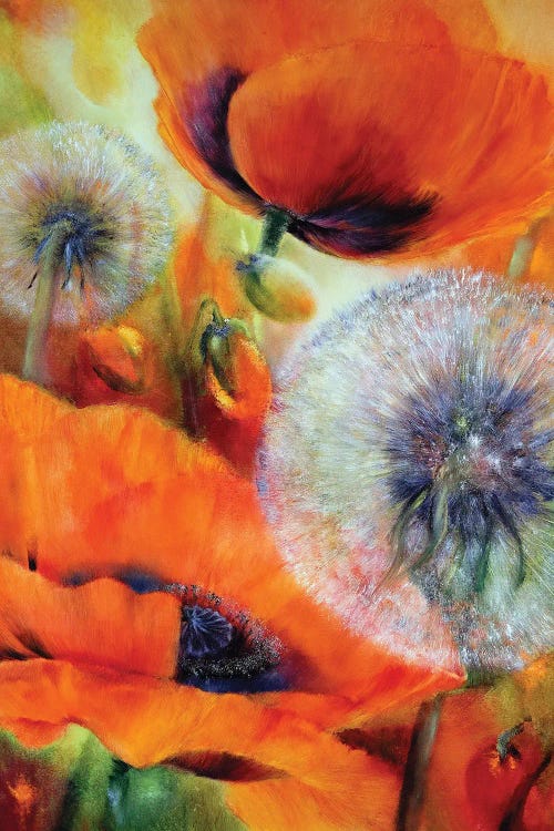 Poppies And Dandelion