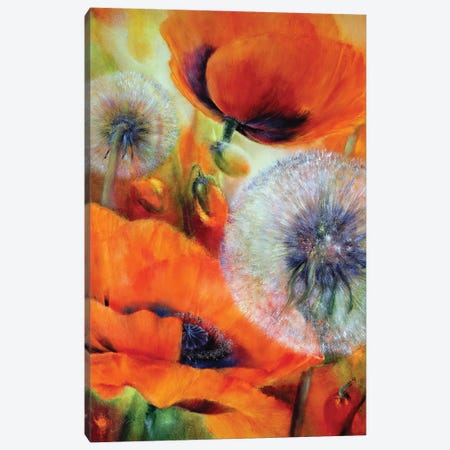Poppies And Dandelion Canvas Print #ASK114} by Annette Schmucker Canvas Artwork
