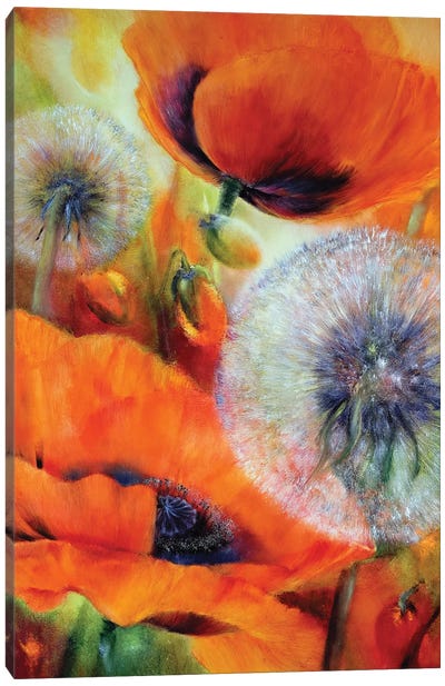 Poppies And Dandelion Canvas Art Print - Annette Schmucker