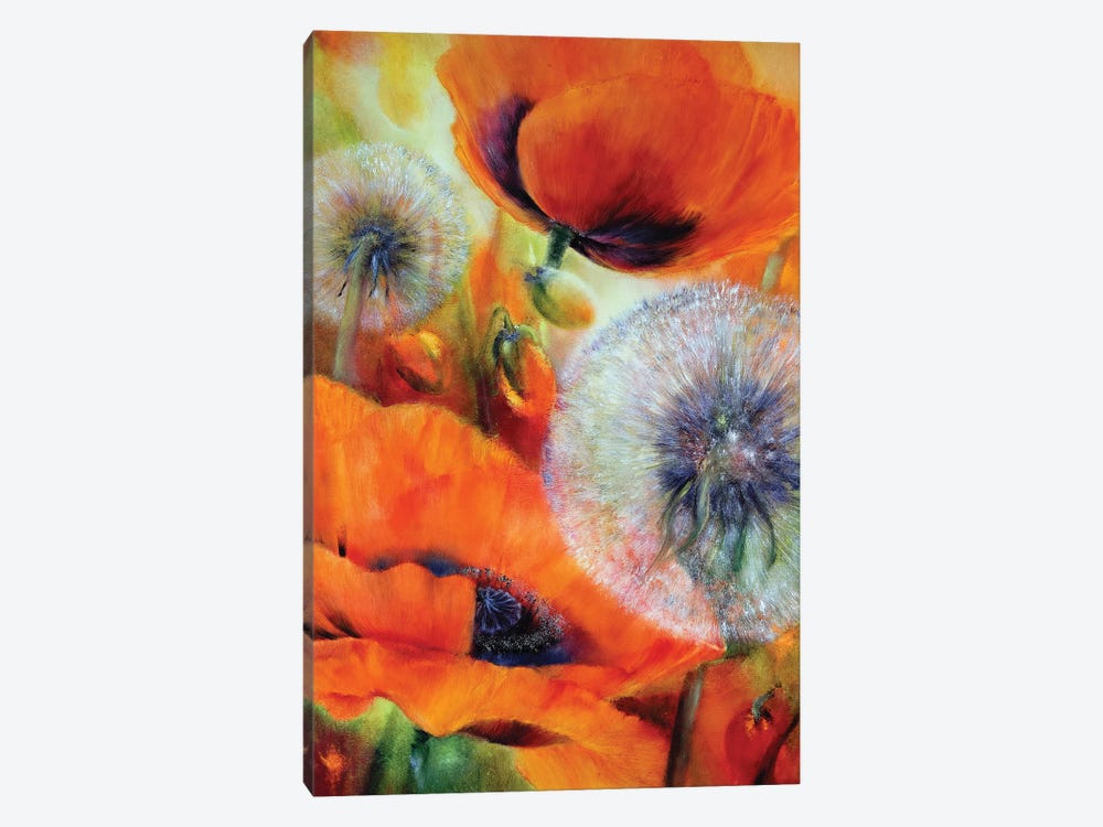 Poppies And Dandelion by Annette Schmucker 1-piece Canvas Print