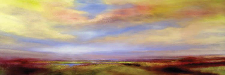 Golden Clouds In Heathland by Annette Schmucker wall art