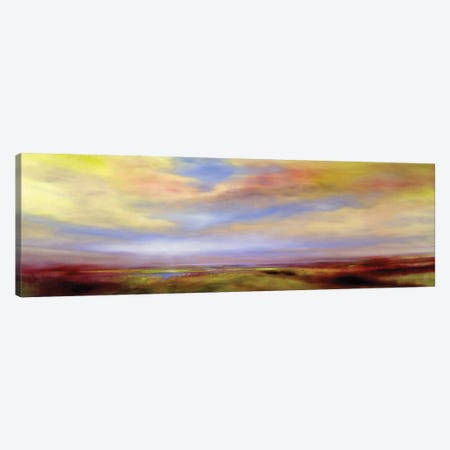 Golden Clouds In Heathland Canvas Print #ASK180} by Annette Schmucker Canvas Art