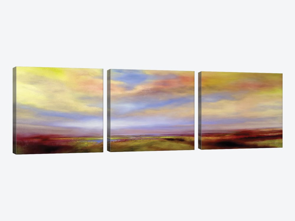 Golden Clouds In Heathland by Annette Schmucker 3-piece Canvas Art
