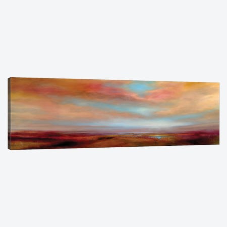 Soft Clouds Over A Wide Land Canvas Print #ASK181} by Annette Schmucker Canvas Wall Art