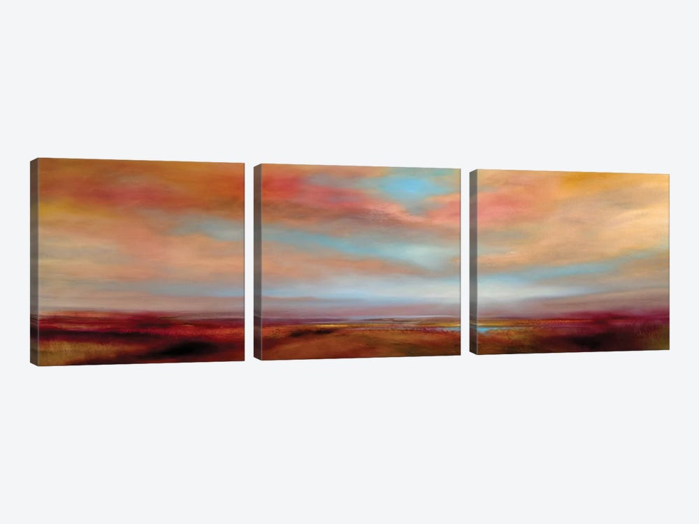 Soft Clouds Over A Wide Land by Annette Schmucker 3-piece Canvas Art Print