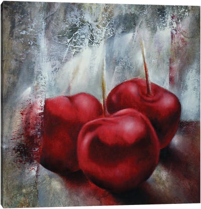 Cherries Canvas Art Print - Annette Schmucker