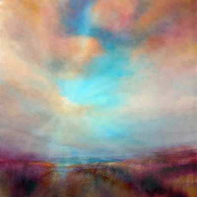 Heathland In Sunlight by Annette Schmucker framed wall art