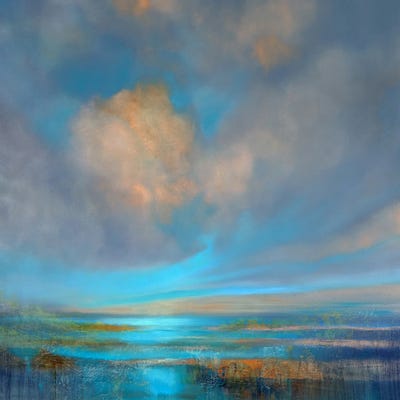 Happiness by Annette Schmucker framed wall art