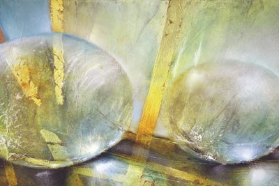 Light Catcher by Annette Schmucker canvas print