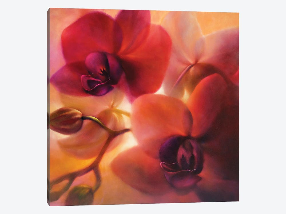 Orchids by Annette Schmucker 1-piece Canvas Art Print
