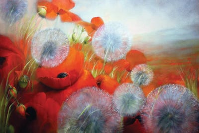 Poppies And Dandelions by Annette Schmucker art print