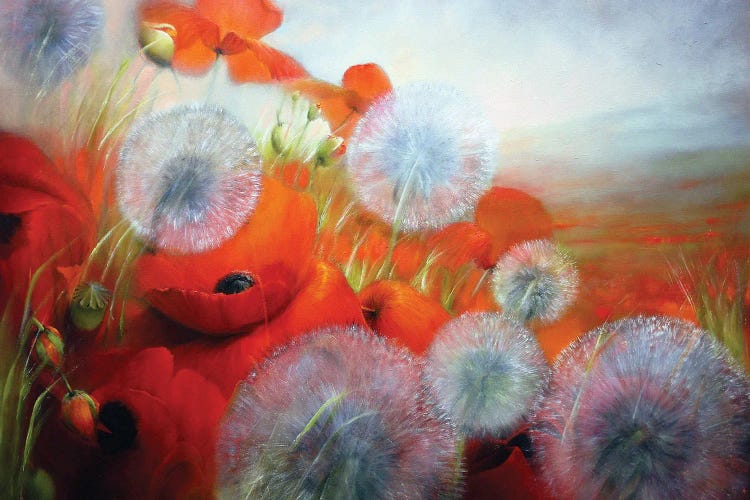 Poppies And Dandelions