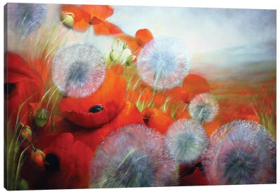 Poppies And Dandelions Canvas Art Print - Annette Schmucker