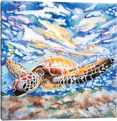 Diving Turtle Canvas Art Print - Animal Lover