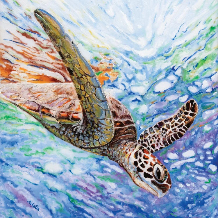 Diving Turtle