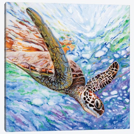 Diving Turtle Canvas Print #ASL11} by Arleta Smolko Canvas Print