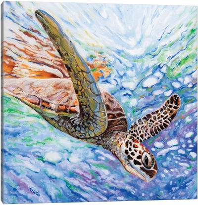 Diving Turtle Canvas Art Print - Arleta Smolko