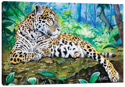 Leopard Canvas Art Print - Arleta Smolko