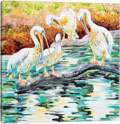 Pelicans Canvas Art Print - Arleta Smolko