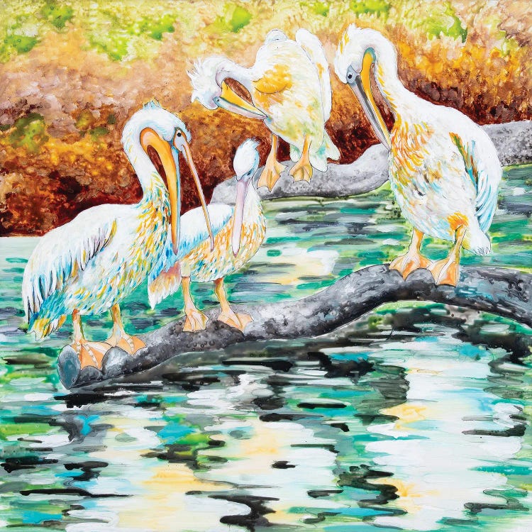 Pelicans