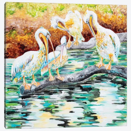 Pelicans Canvas Print #ASL22} by Arleta Smolko Canvas Artwork