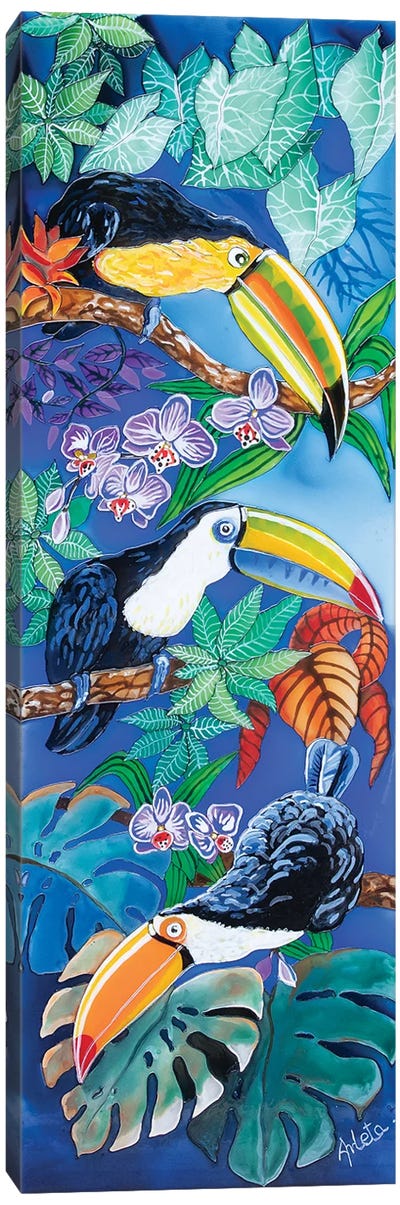 Three Toucans Canvas Art Print - Arleta Smolko